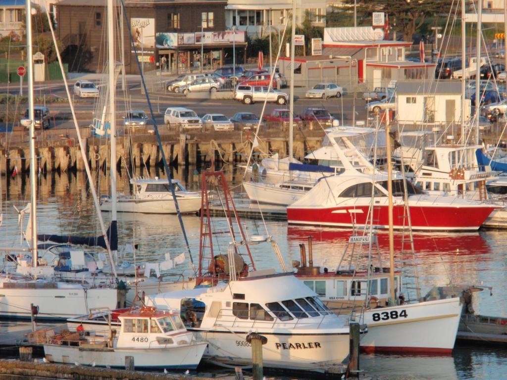 Marina View Apartments Gisborne Extérieur photo