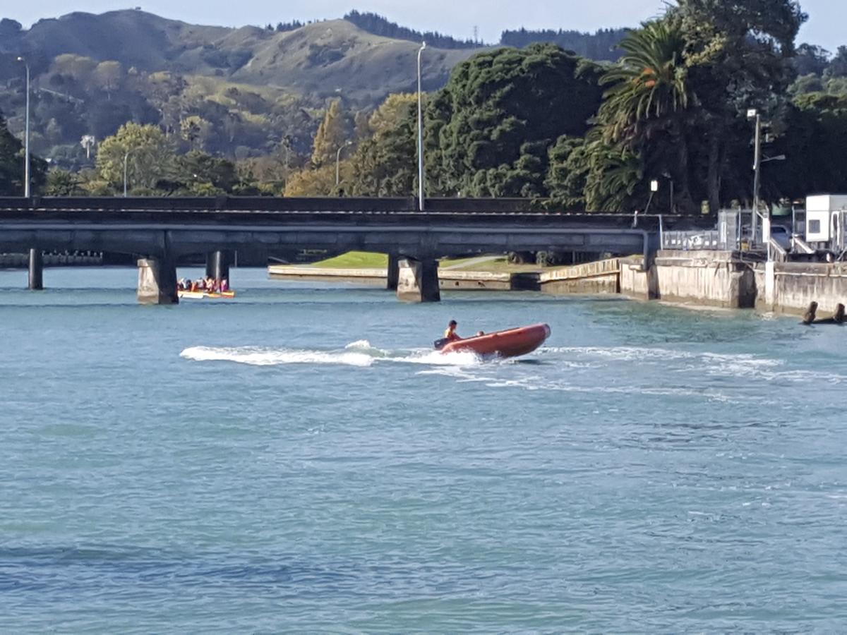 Marina View Apartments Gisborne Extérieur photo
